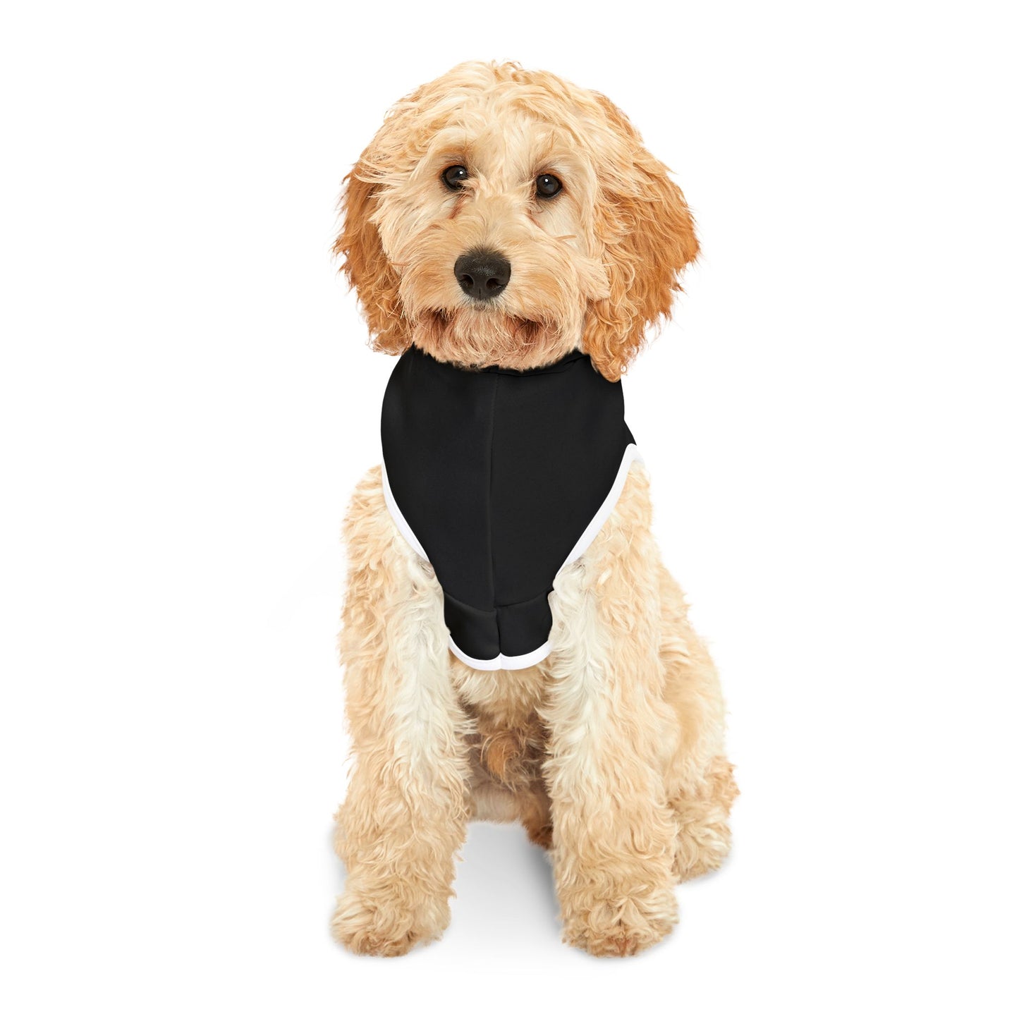 Jiu Jitsu Pet Hoodie